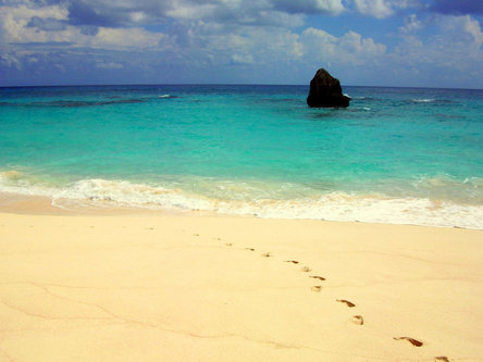 Bermudian Beach