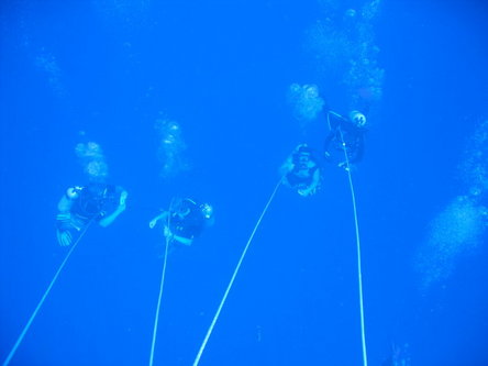 Students on blue-water dive